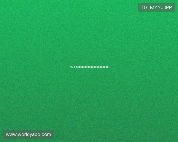 YABO亚博全站：最新安全保障措施与隐私保护方案详解